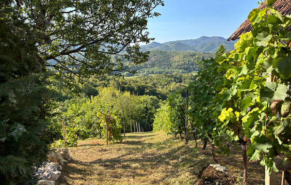 Holiday Home - Varazdin-Staznjevec , Croatia - CCC766 109