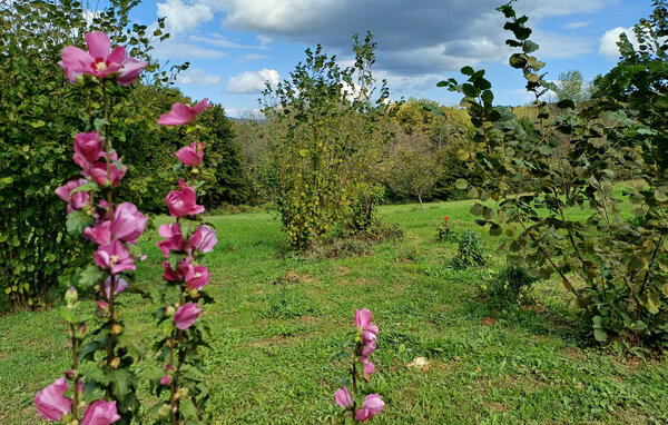 Location de vacances - Karlovac - Vojnic , Croatie - CCL329 105