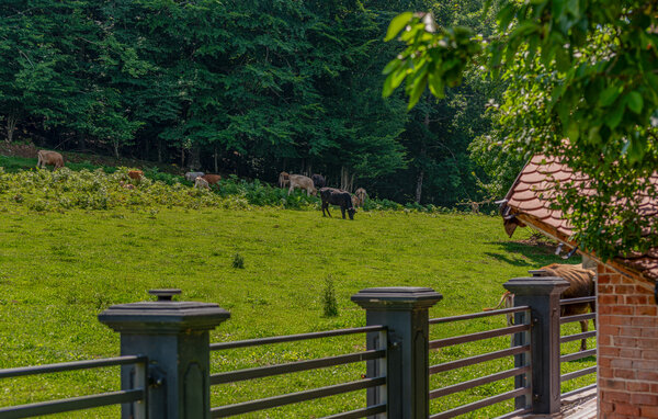 Ferienhaus - Gospic - Debelo Brdo , Kroatien - CCL357 102