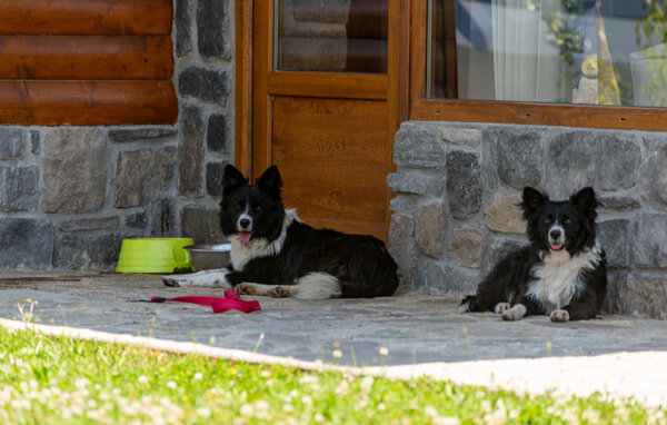 Ferienhaus - Gospic - Debelo Brdo , Kroatien - CCL357 104