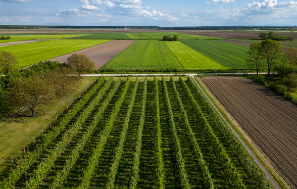 Kuća-za-odmor - Vinkovci - Rokovci , Hrvatska - CCS078 109