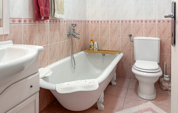 Holiday Home - Dalj , Croatia - CCS132 701