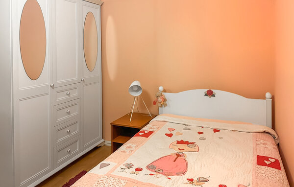 Holiday Home - Dalj , Croatia - CCS132 603
