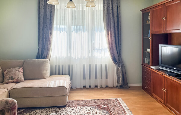 Holiday Home - Dalj , Croatia - CCS132 3