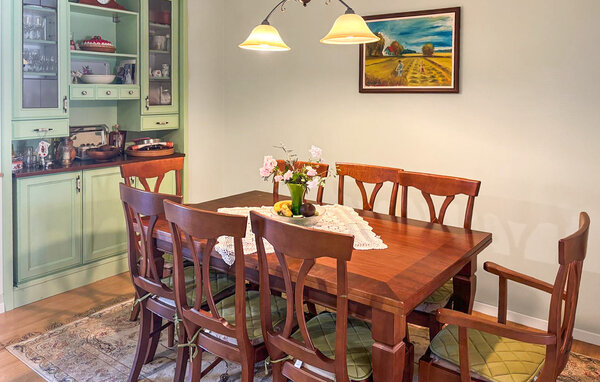 Holiday Home - Dalj , Croatia - CCS132 4