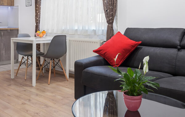 Apartment - Zagreb , Croatia - CCZ253 3