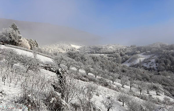 Domy wakacyjne - Zagreb - Jastrebarsko , Chorwacja - CCZ266 102