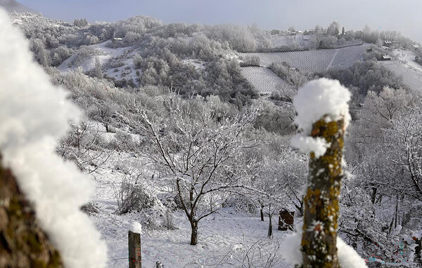 Domy wakacyjne - Zagreb - Jastrebarsko , Chorwacja - CCZ266 103