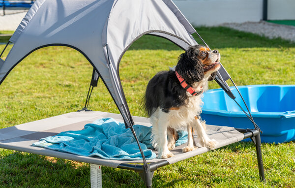 Ferienhaus - Zadar-Prkos , Kroatien - CDA160 805