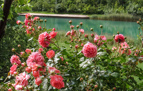 Apartament - Zadar - Obrovac , Chorwacja - CDA670 7