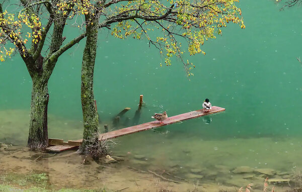 Apartament - Zadar - Obrovac , Chorwacja - CDA670 101