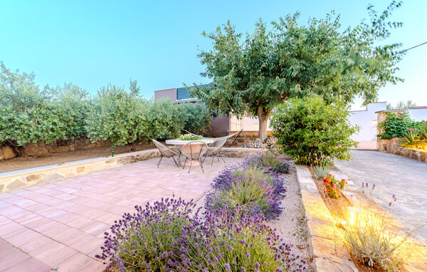 Domy wakacyjne - Zadar-Zagrad , Chorwacja - CDA696 105