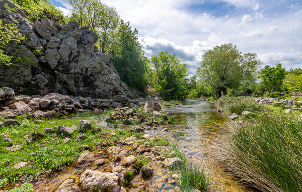 Domy wakacyjne - Zadar-Muskovci , Chorwacja - CDA855 4