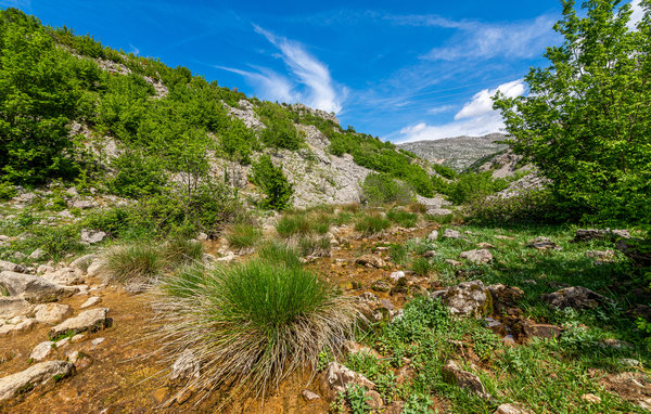Domy wakacyjne - Zadar-Muskovci , Chorwacja - CDA855 106