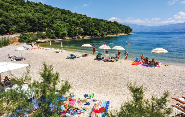 Domy wakacyjne - Brac-Splitska , Chorwacja - CDB677 104