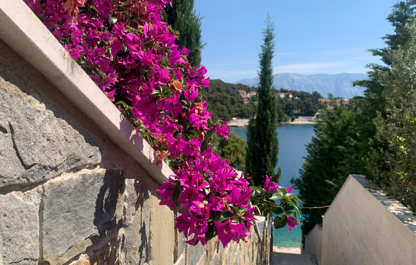 Ferienwohnung - Brac-Selca , Kroatien - CDB701 101