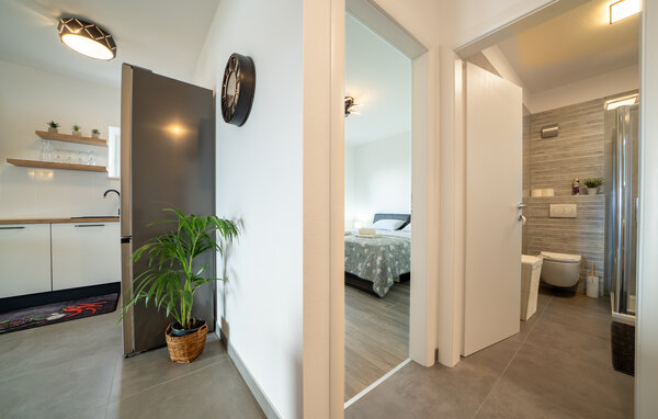 Apartment - Brac - Selca , Croatia - CDB856 404