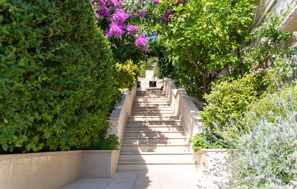 Apartment - Brac - Selca , Croatia - CDB856 103