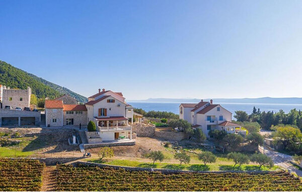 Appartement - Brac - Bol , Croatie - CDB867 83