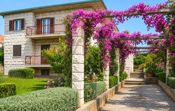 Apartment - Brac - Supetar , Croatia - CDB878 81