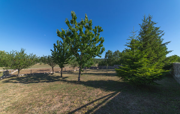 Domy wakacyjne - Makarska-Lovrec , Chorwacja - CDC092 101