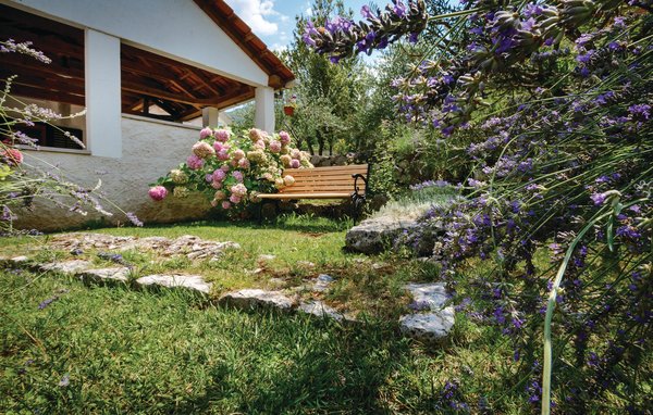 Domy wakacyjne - Dubrovnik-Gruda , Chorwacja - CDD156 106