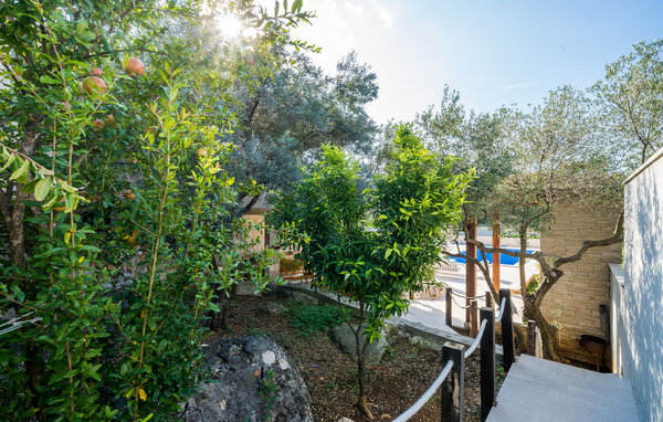 Apartament - Dubrovnik-Cilipi , Chorwacja - CDD767 104