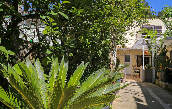 Apartment - Dubrovnik , Croatia - CDD791 2