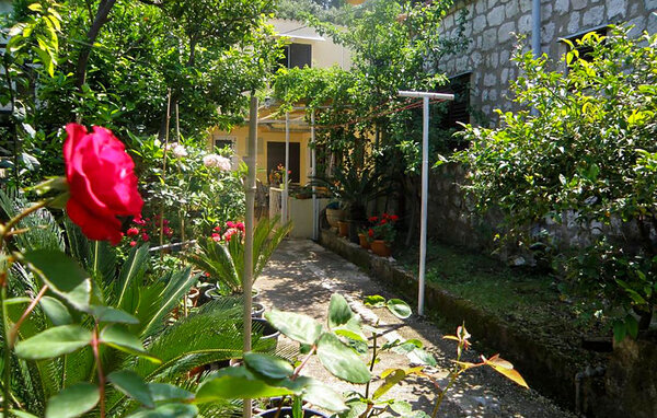 Apartment - Dubrovnik , Croatia - CDD792 81