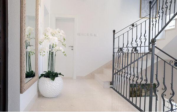 Holiday Home - Dubrovnik-Cilipi , Croatia - CDD795 502