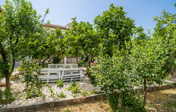 Holiday Home - Dubrovnik-Slano , Croatia - CDD818 105