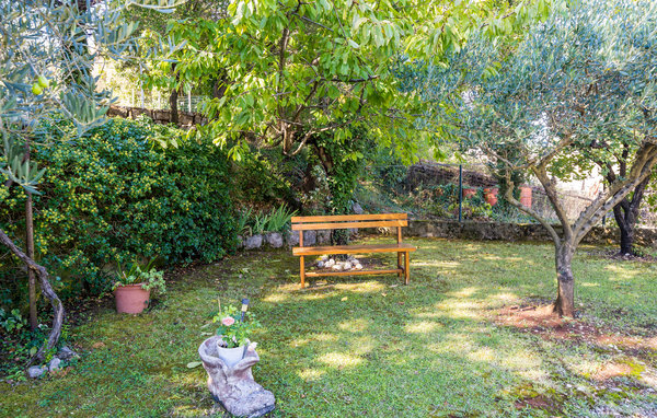 Apartament - Dubrovnik-Gruda , Chorwacja - CDD819 108