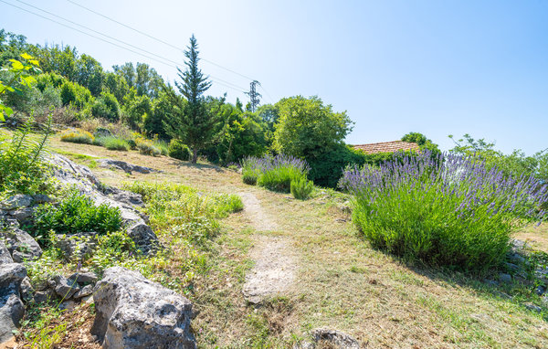 Lomatalo 
