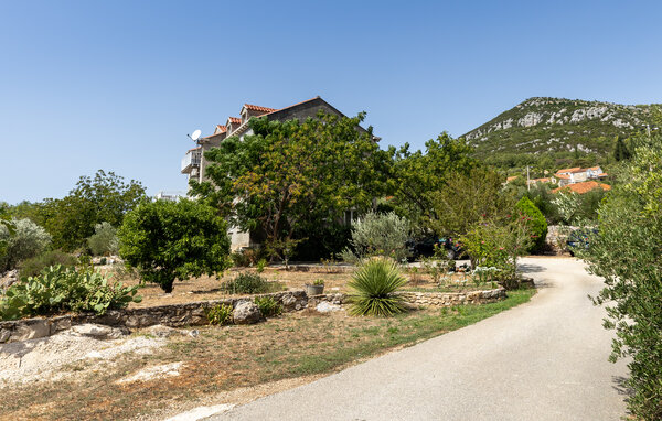 Appartement - Dubrovnik-Zaton Doli , Kroatië - CDD877 1