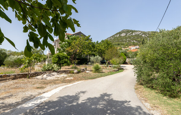 Appartement - Dubrovnik-Zaton Doli , Kroatië - CDD877 102