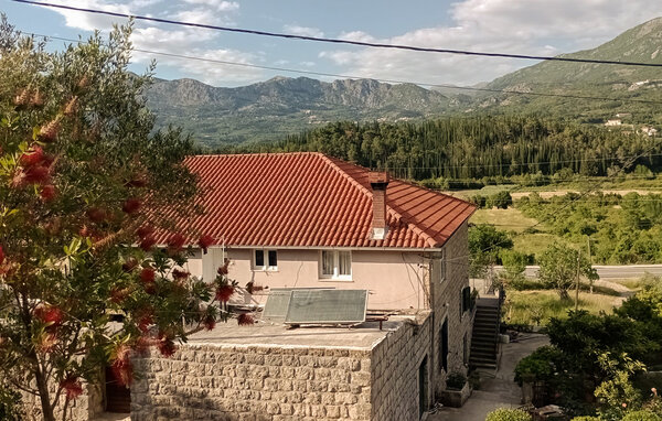 Apartment - Dubrovnik - Gruda , Croatia - CDD892 82