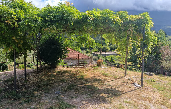 Apartment - Dubrovnik - Gruda , Croatia - CDD892 101