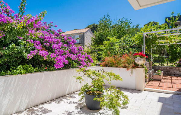 Apartament - Dubrovnik - Zaton , Chorwacja - CDD898 5