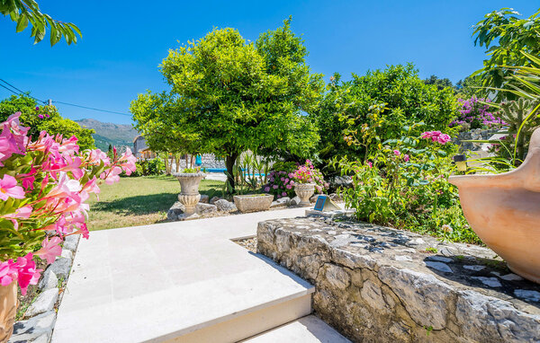 Apartament - Dubrovnik - Zaton , Chorwacja - CDD898 101