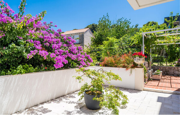 Apartament - Dubrovnik - Zaton , Chorwacja - CDD899 101
