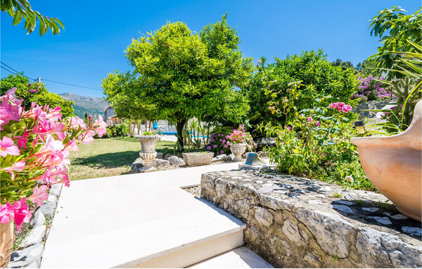 Apartament - Dubrovnik - Zaton , Chorwacja - CDD899 102
