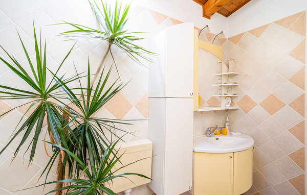 Domy wakacyjne - Dubrovnik - Mlini , Chorwacja - CDD914 702