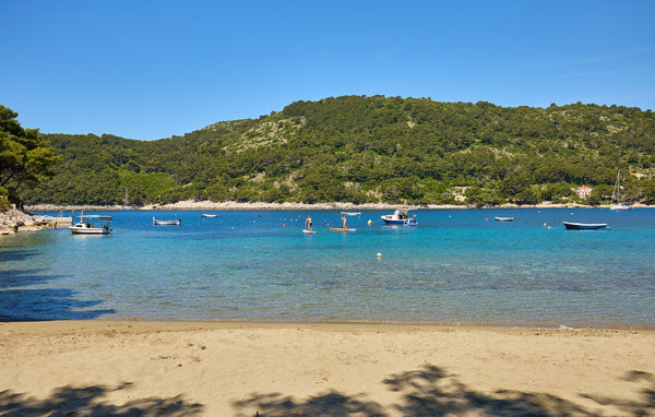 Apartament - Mljet-Saplunara , Chorwacja - CDG205 103