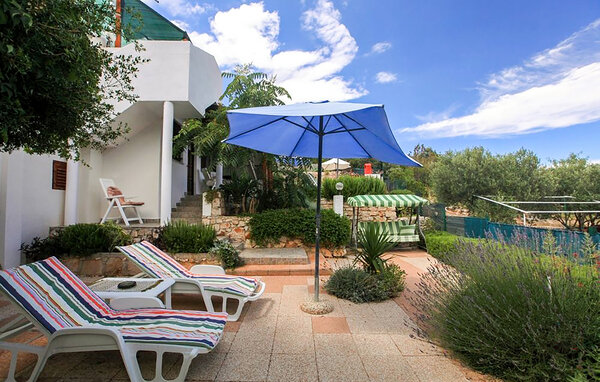 Apartment - Hvar - Gdinj , Croatia - CDH622 101