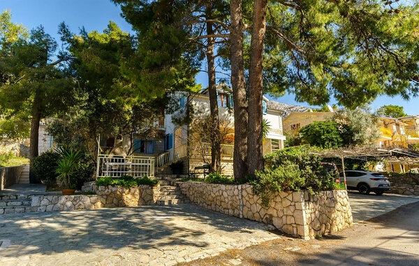 Appartement - Hvar - Jelsa , Croatie - CDH624 81