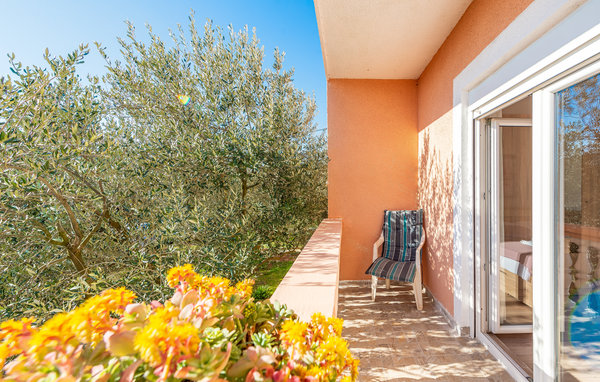 Appartamento Apartman Bore