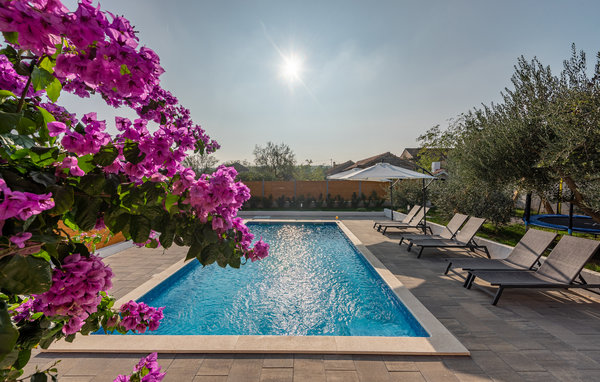 Appartamento Apartman Bore