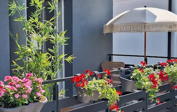 Apartament - Biograd-Sveti Filip i Jakov , Chorwacja - CDI123 101