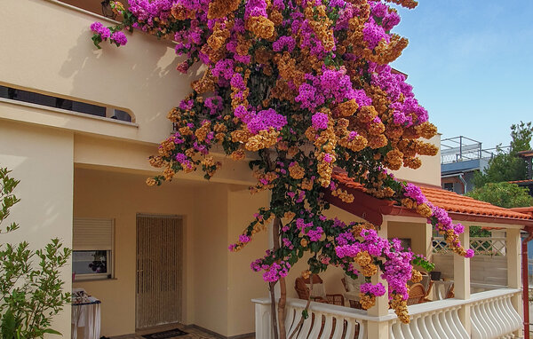 Apartman - Vir-Vir , Hrvatska - CDI204 81