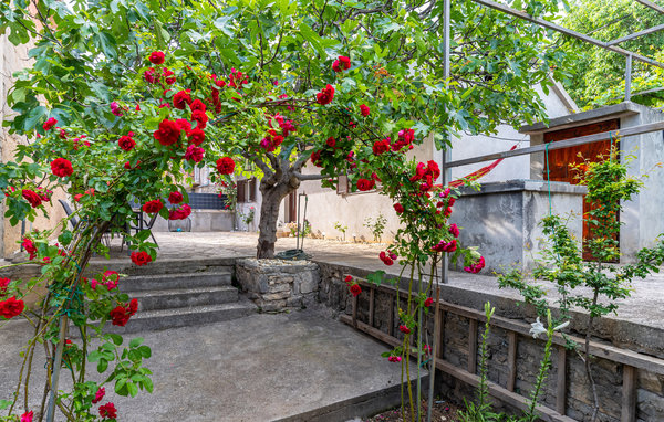 Domy wakacyjne - Zadar-Pridraga , Chorwacja - CDI424 101